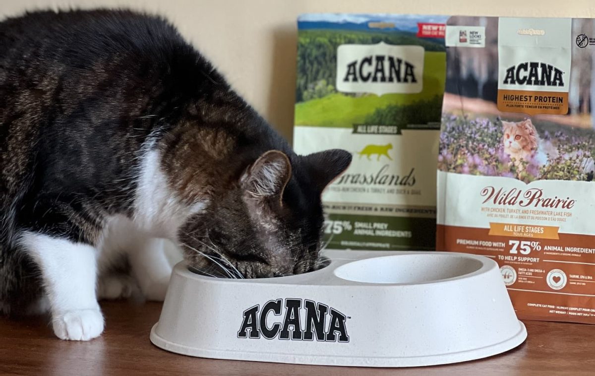 Acana